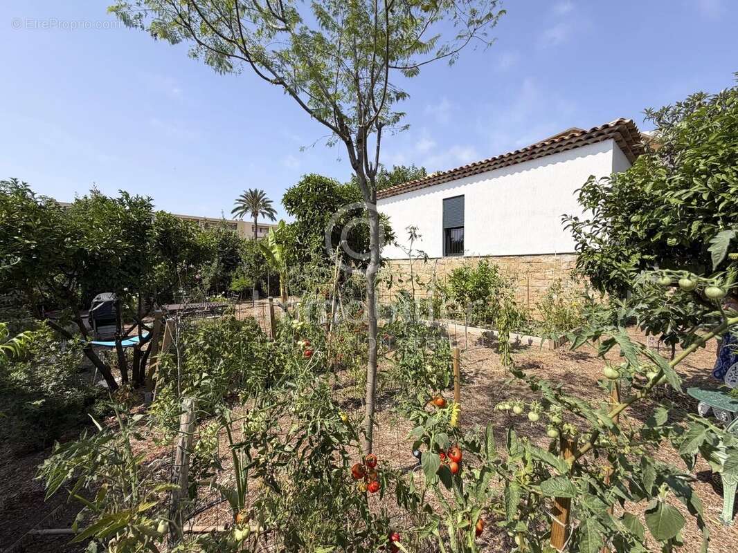 Cannes - Croix des Gardes - Maison neuve T3 - photo 3