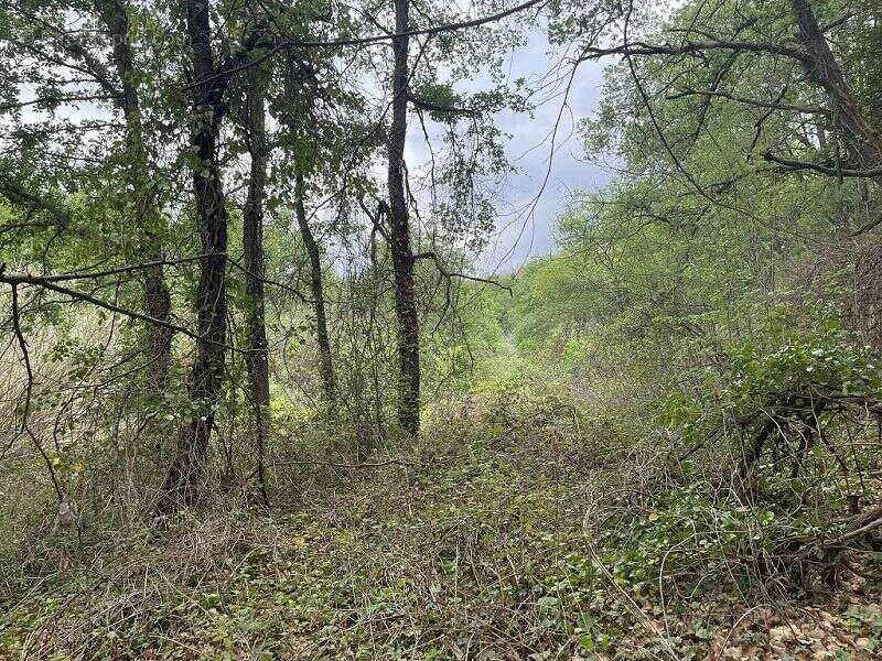 Terrain à MARQUIXANES