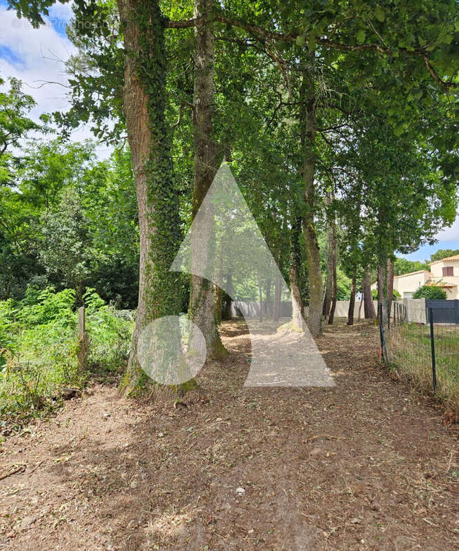 Terrain à LA TREMBLADE