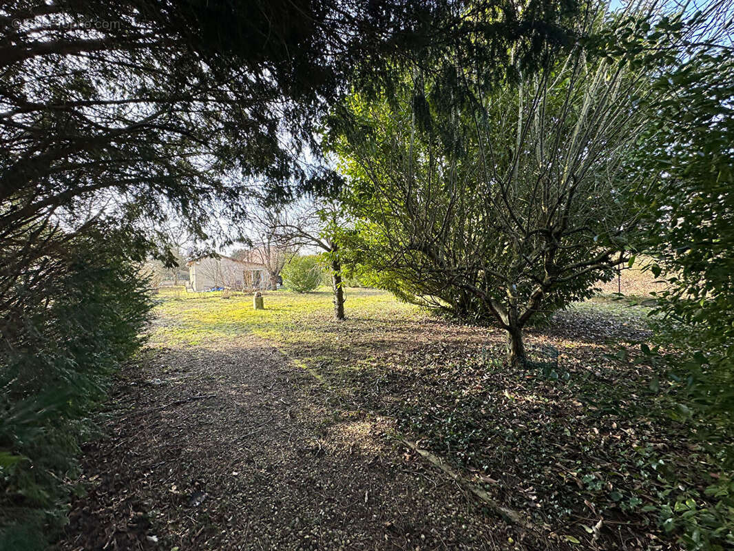 Terrain à GERMIGNY-L'EVEQUE