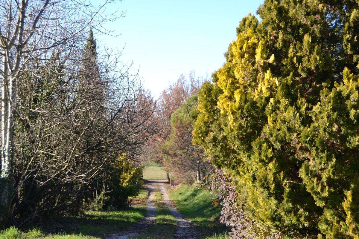 Maison à PUYLAURENS