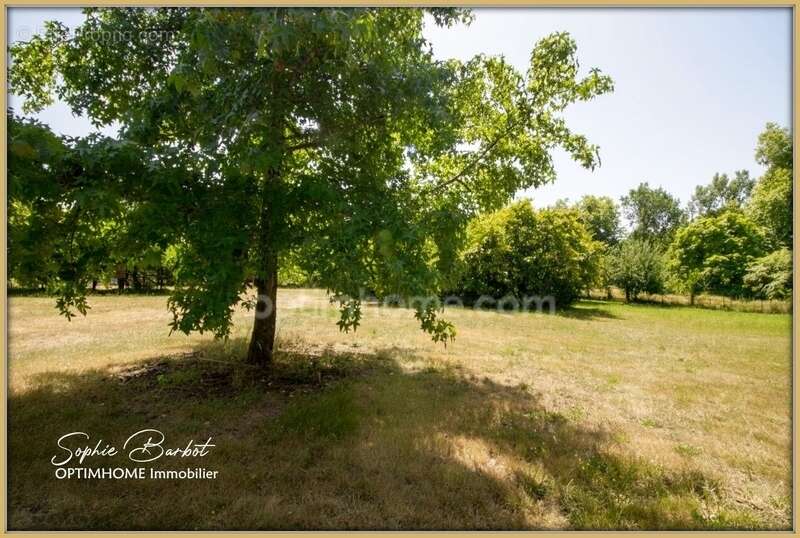 Léognan – un écrin de nature à deux pas de bordeaux sur 8000 m² de terrain - photo 2
