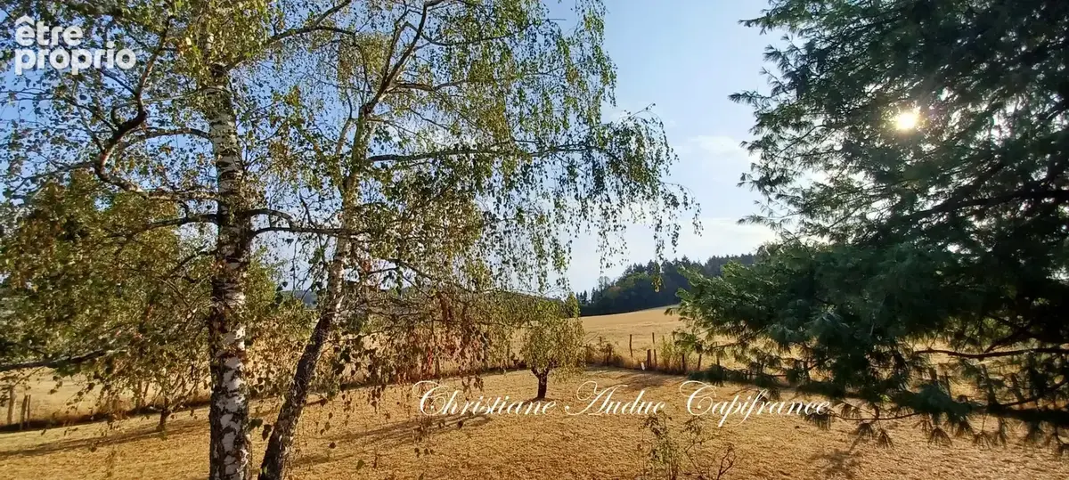 Suin, Ancien corps de ferme en pierre, de 133 m², avec fort potentiel de développement, sur 1 500 m² de terrain - photo 6