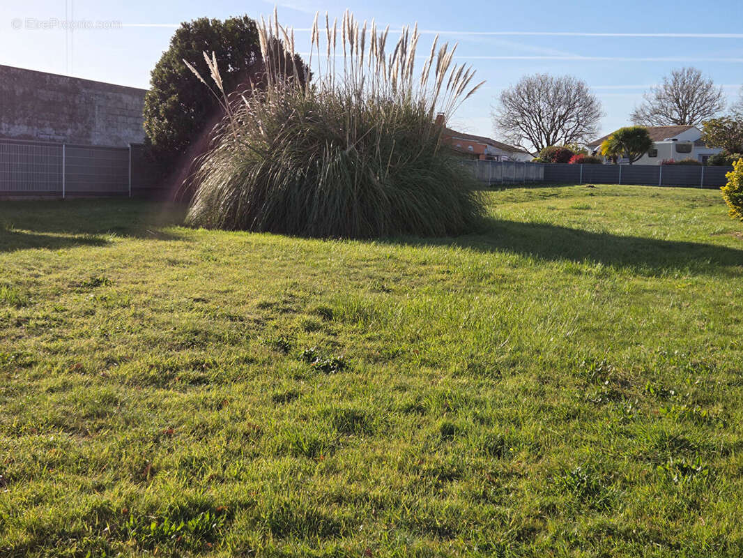 Terrain constructible - activite tertiaire les sables d'olonne - photo 2