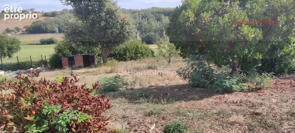 Terrain 1 144 m² à vendre à Mauzac (31410) - photo 6