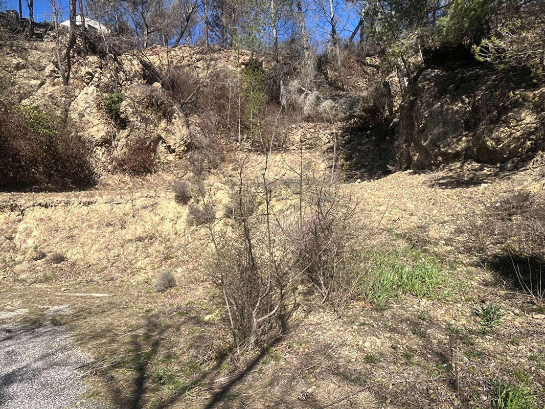 Terrain à VILLESEQUE-DES-CORBIERES