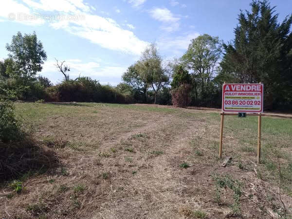 Terrain à CRUX-LA-VILLE