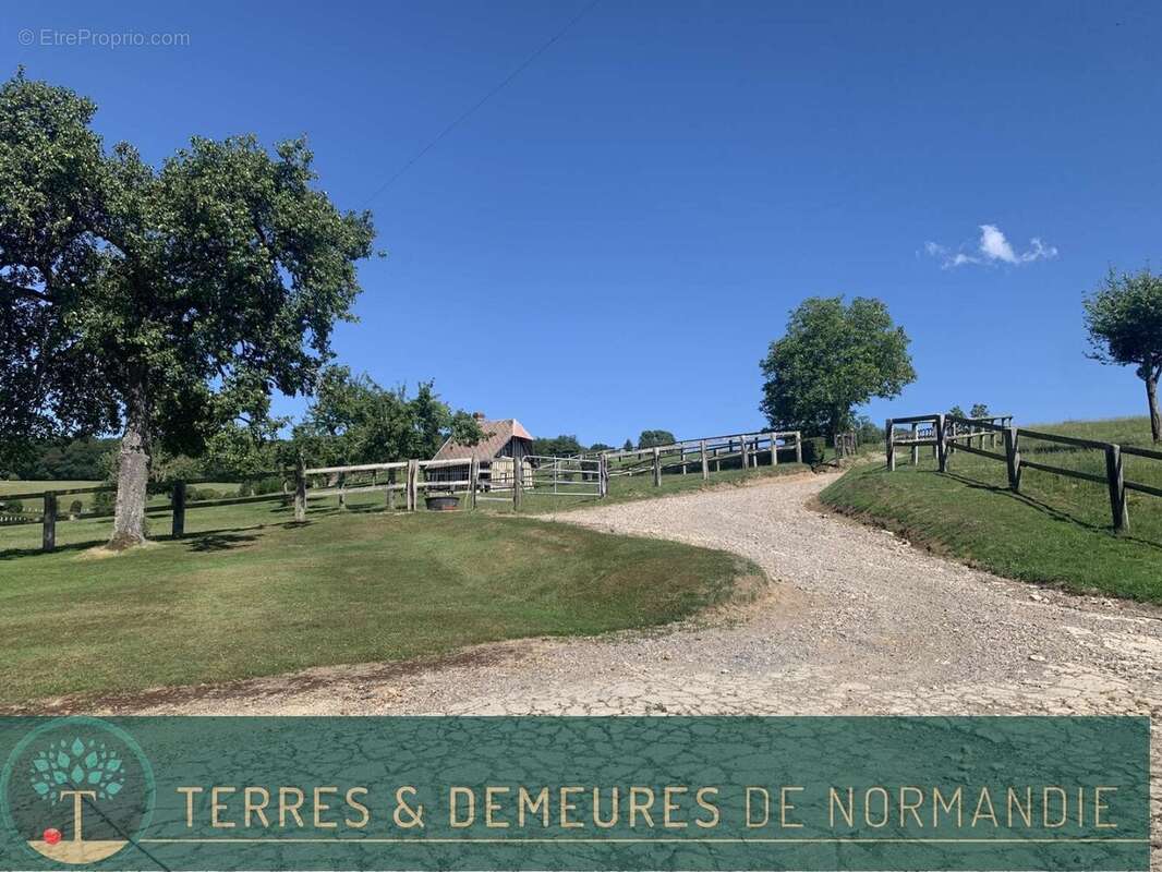 A vendre dans le PAYS D'AUGE du CALVADOS, secteur LISIEUX, haras d'élevage de chevaux sur une surface de 48 ha. - photo 2
