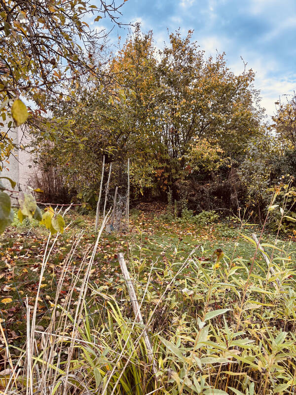 Terrain à MONTIGNY-SUR-VESLE