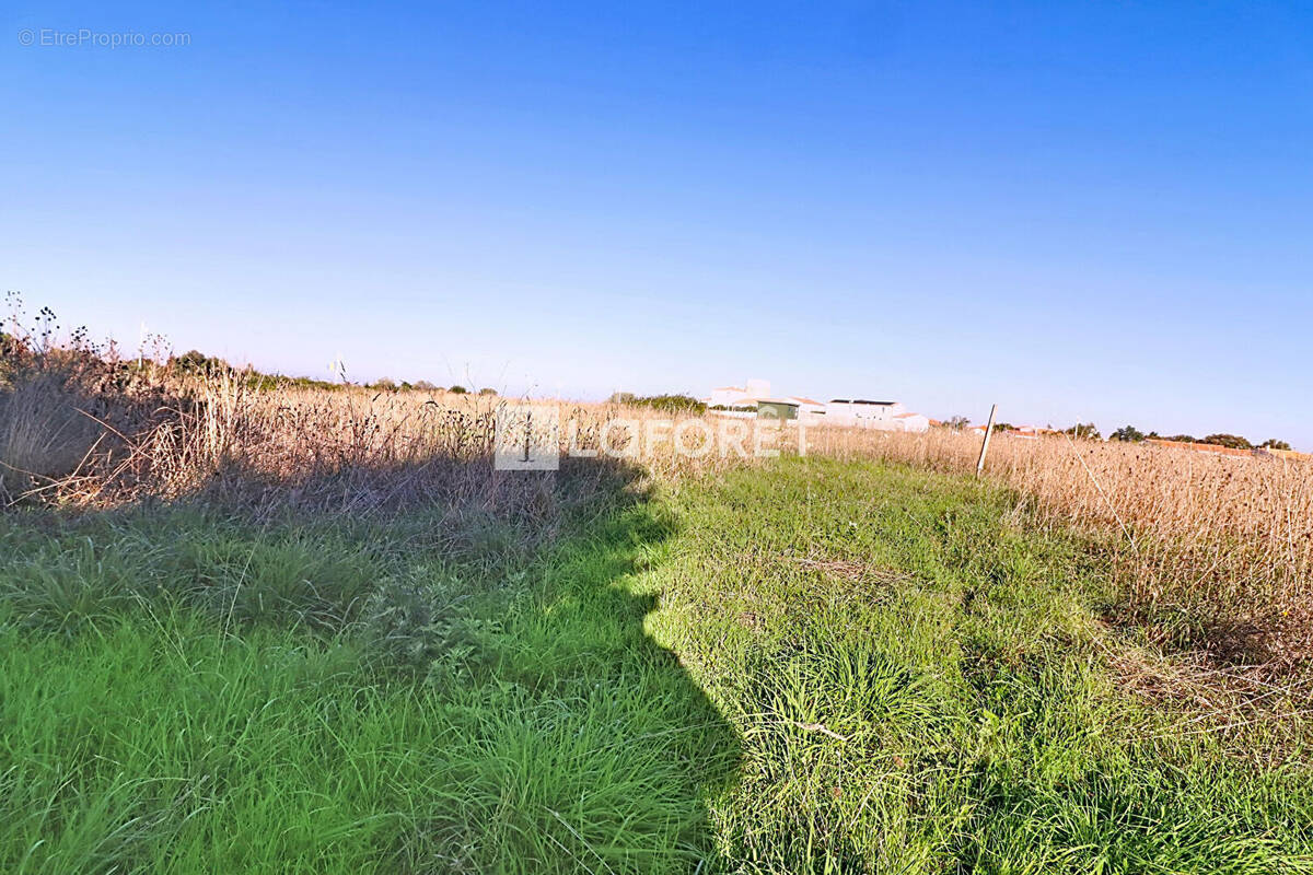 Terrain à CHATELAILLON-PLAGE