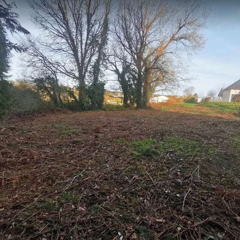 Meslan Vente Terrains à bâtir - photo 2