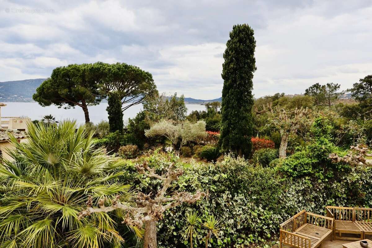 Maison à PORTO-VECCHIO
