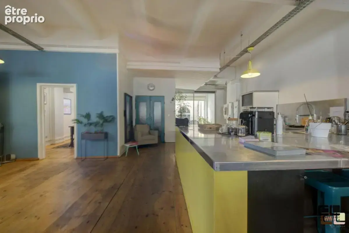 LOFT INDUSTRIEL 255 M² QUAI ARLOING  avec terrasse   et parking ( bureau ou habitation ) - photo 5