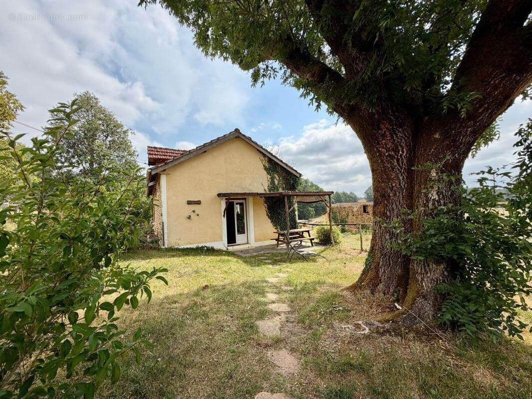 Domaine de 11ha avec étang - photo 15