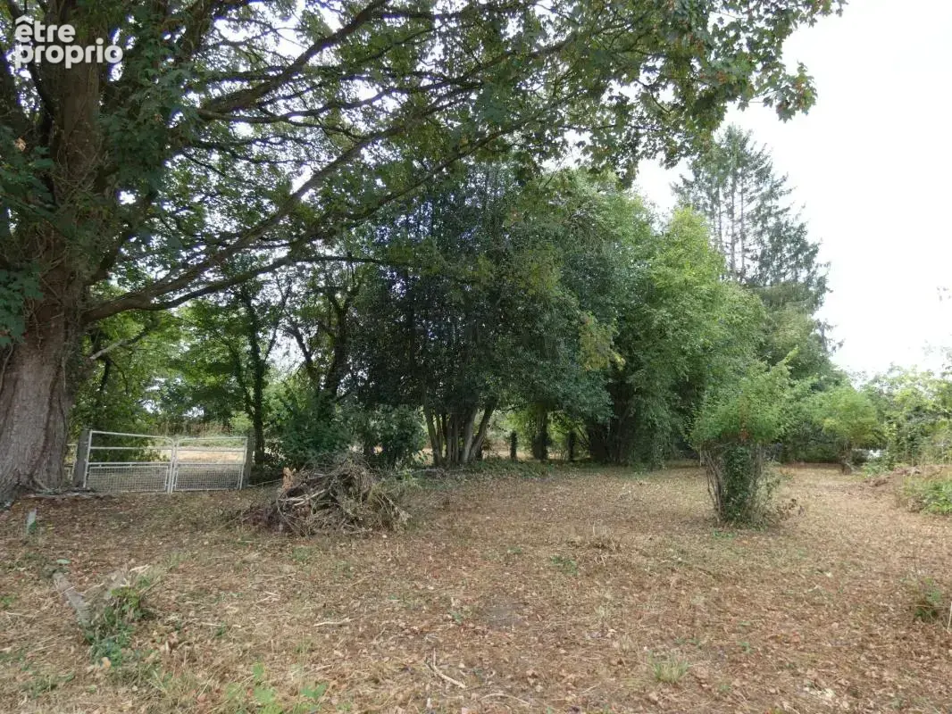 Terrain constructible 2613m2 à Pacé (9km d'Alençon) - photo 3