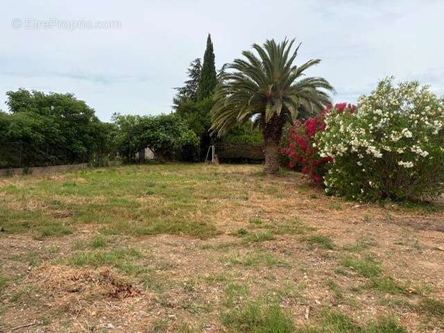 A vendre maison, vaucluse, paca, 84500 bollene - photo 12