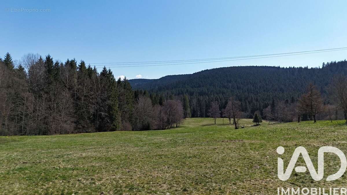 Photo 3 - Terrain à LIEZEY