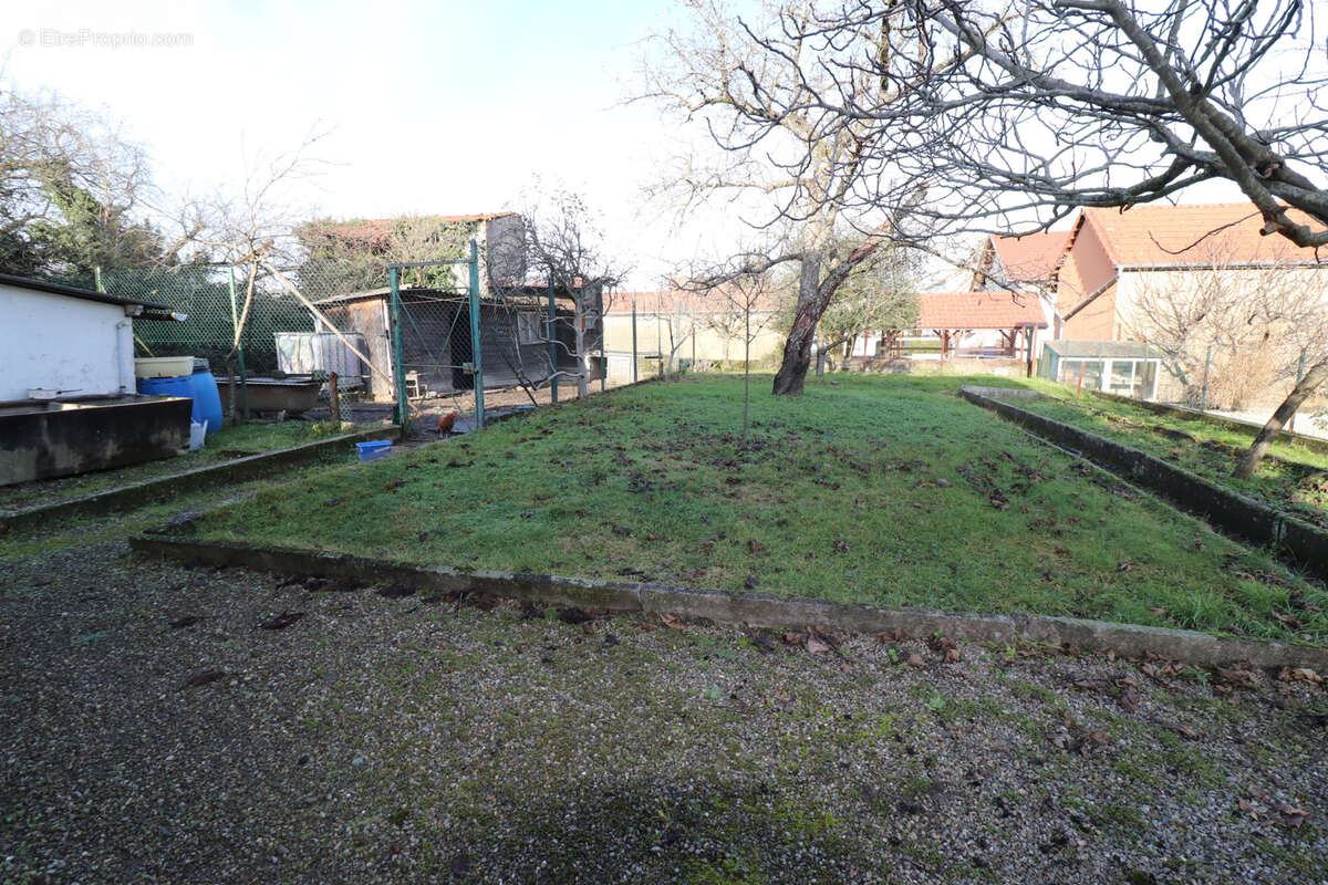 Maison à WITTELSHEIM