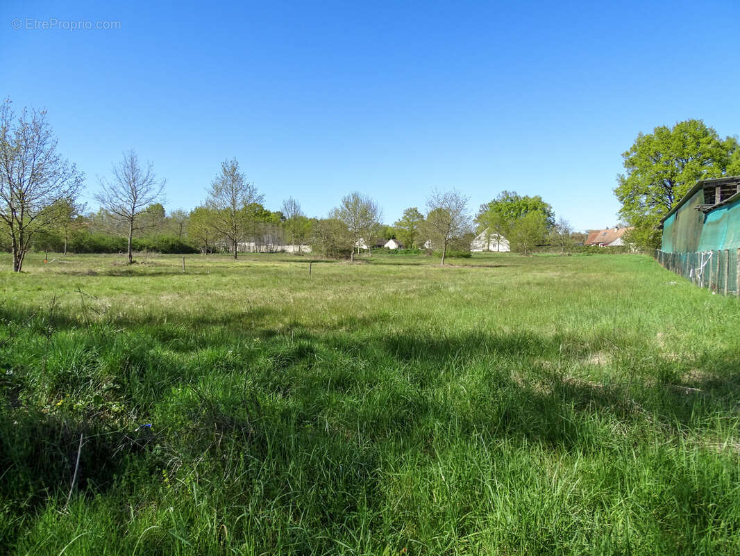 Terrain à VILLEFRANCHE-SUR-CHER