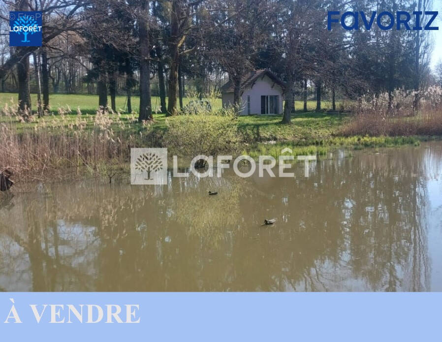 Terrain à GRANDVILLARS