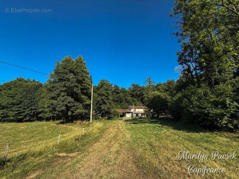 Propriété de charme avec 3,5 hectares – Ancien moulin rénové – Secteur Sermentizon - photo 29