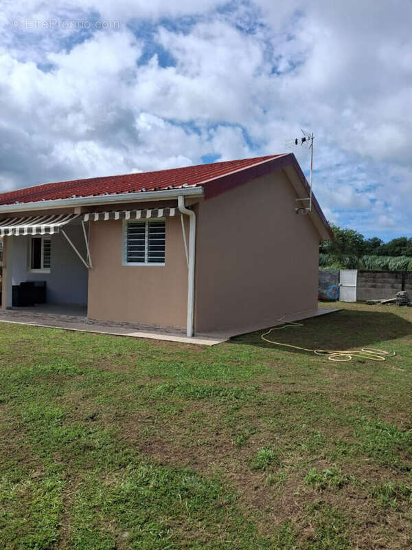 Maison à BASSE-POINTE