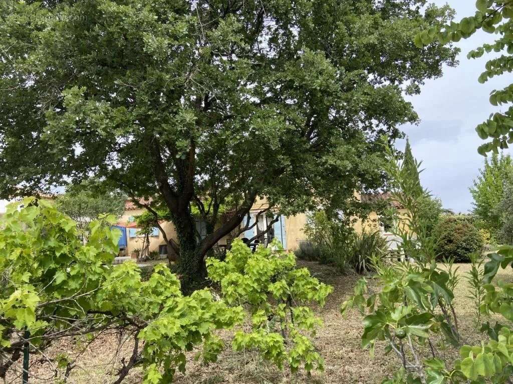 Maison à SAINT-MAXIMIN-LA-SAINTE-BAUME