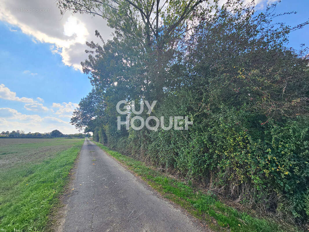 Terrain à AUZAY
