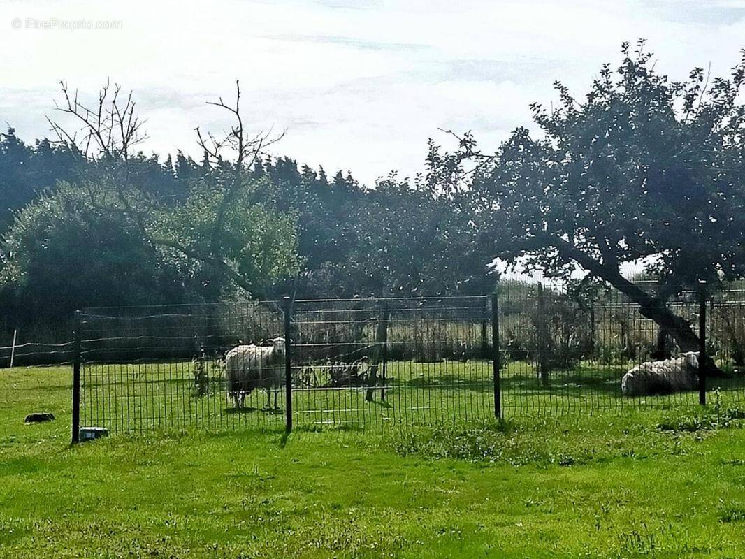 Maison à PLOBANNALEC-LESCONIL