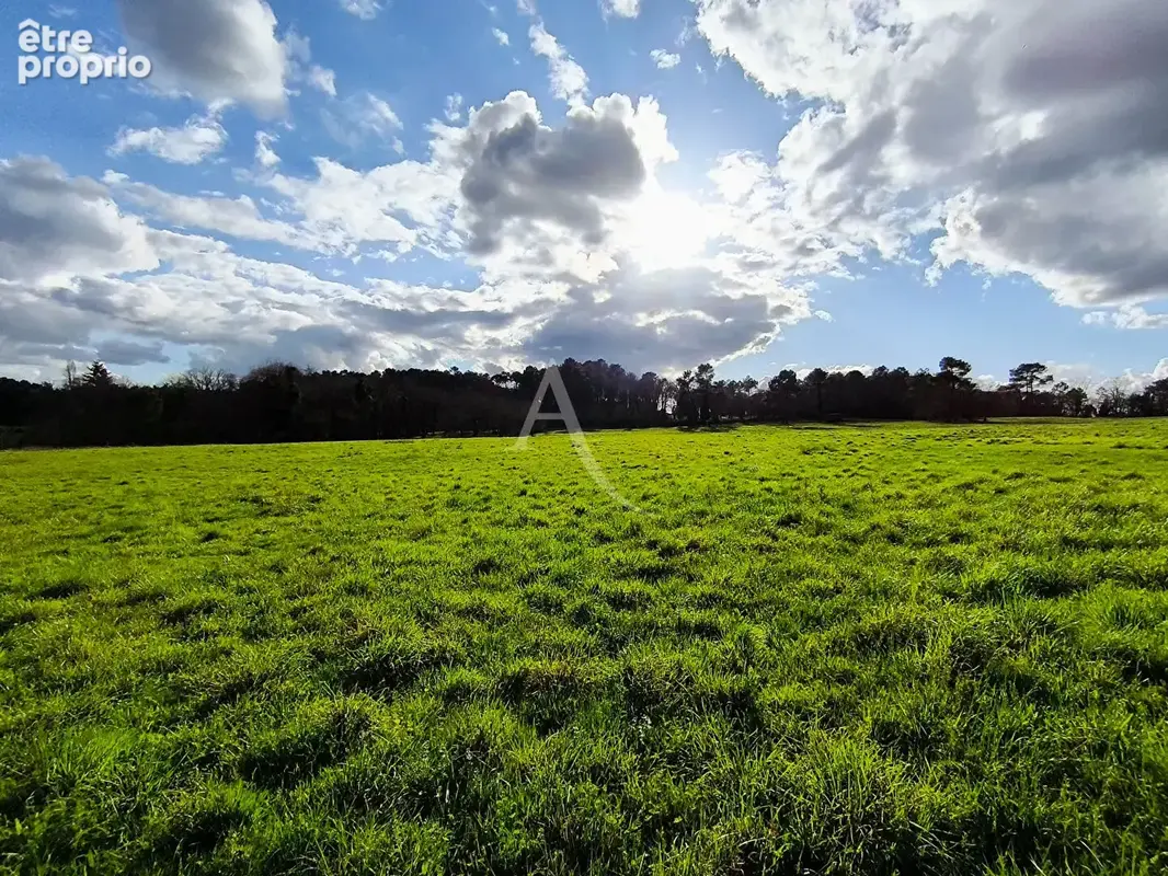 Corps de ferme: Maison en pierre et dépendances 556m² - photo 18
