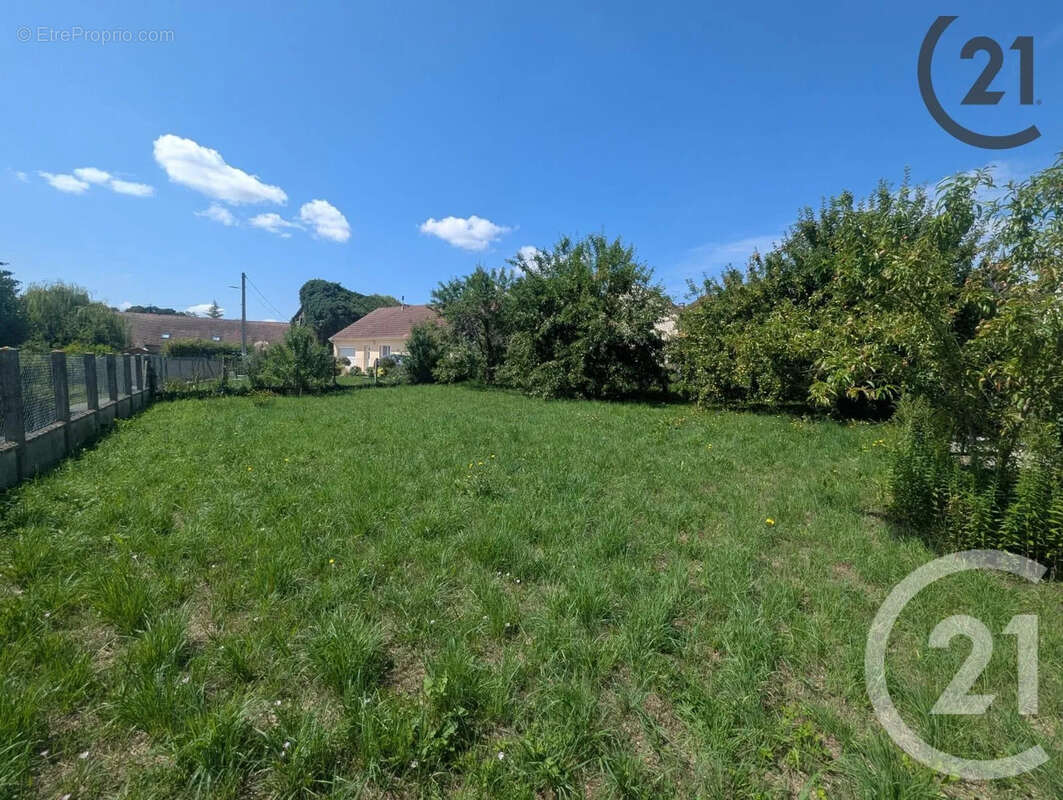 Terrain à JUTIGNY