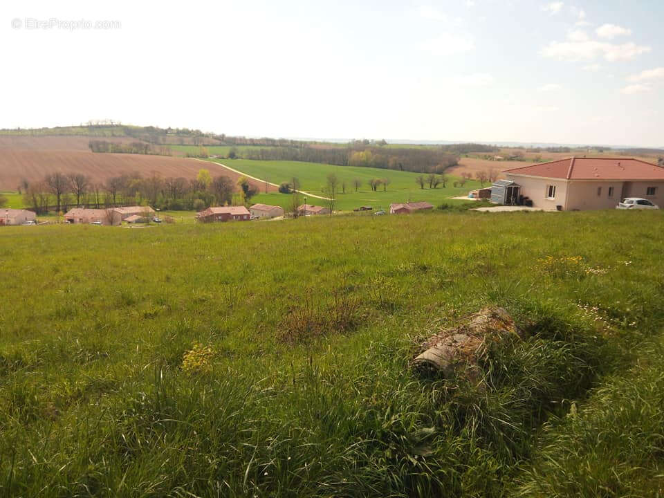 Terrain 1100m² Puycasquier (32120) 1 parcelle - photo 6