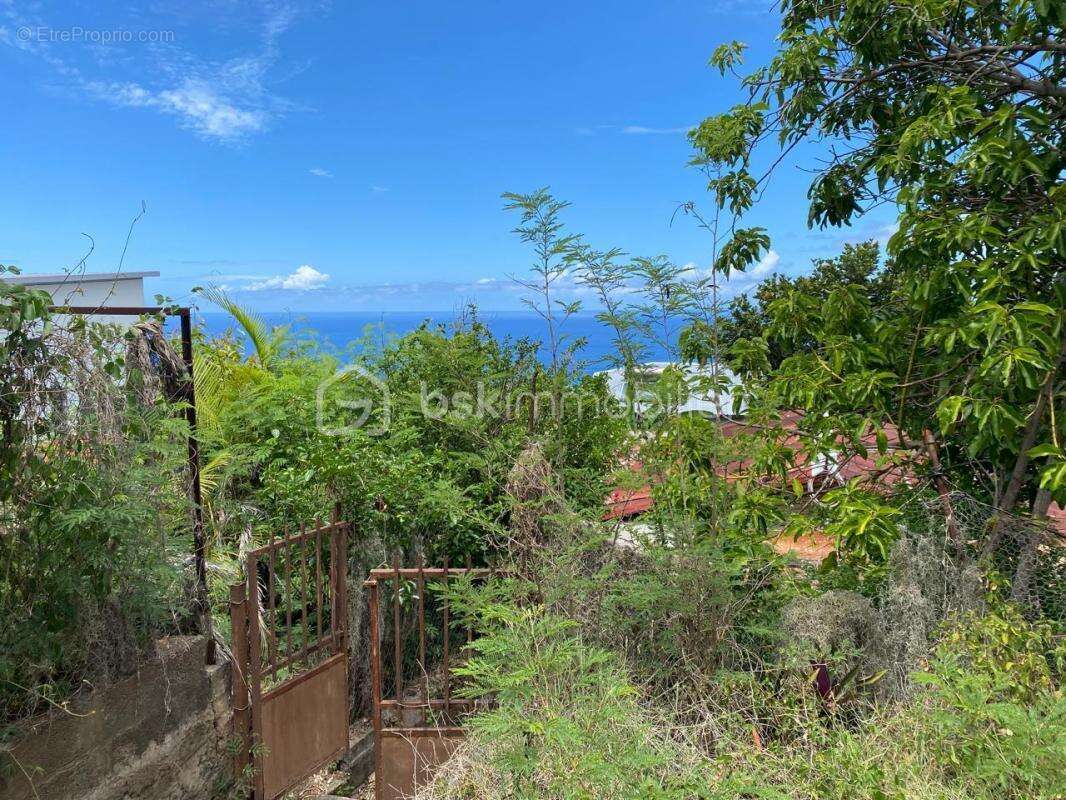 Terrain à SAINT-LEU