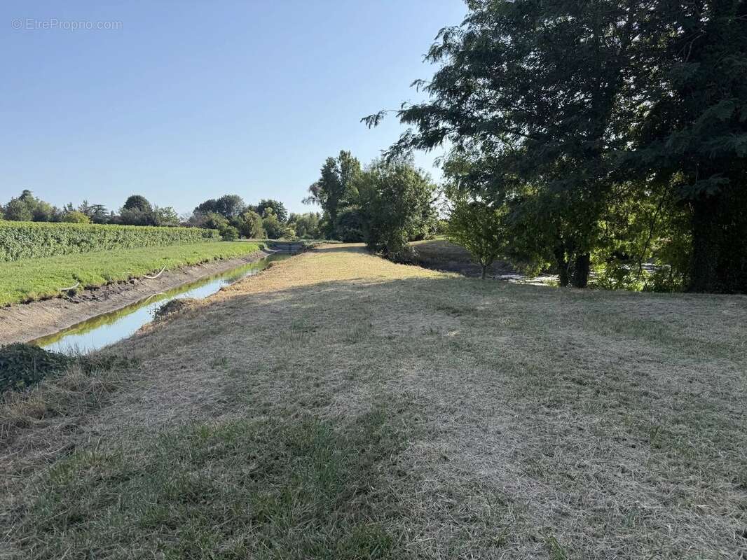 FERME de 248m² - 1hectare48a78ca avec étangs - photo 10