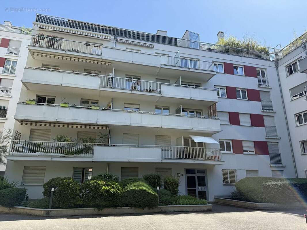 Local Professionnel  77M²  Libre - photo 2