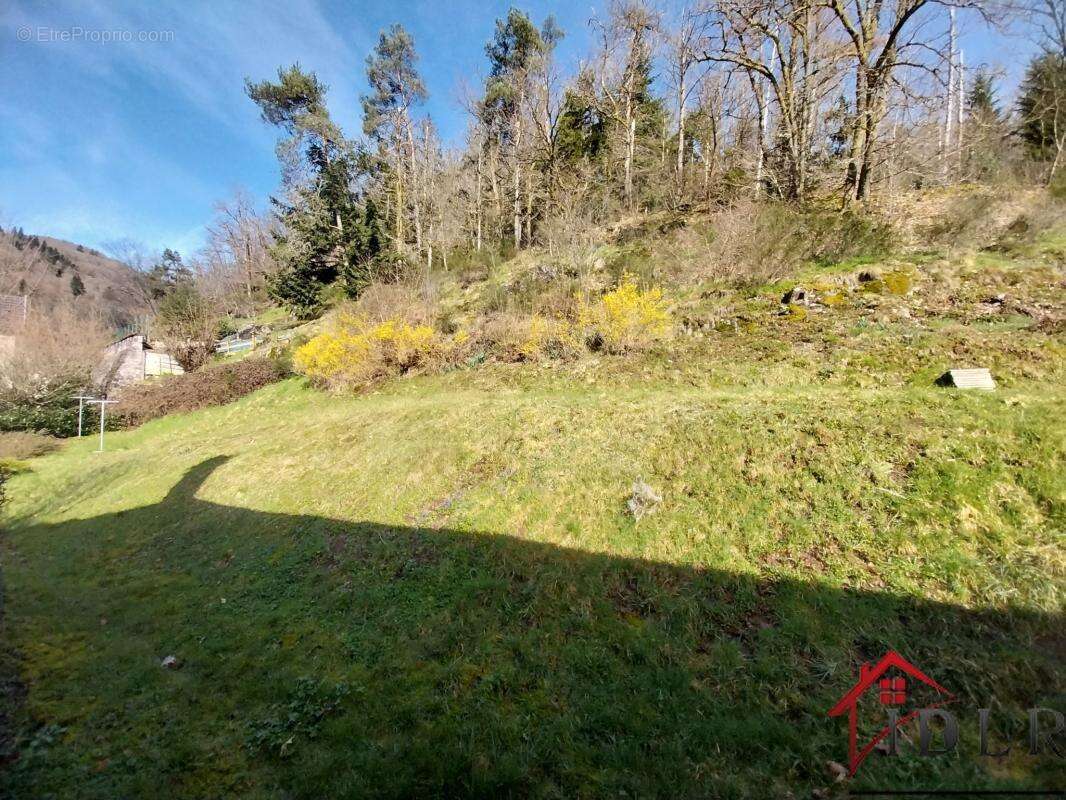 Maison à LA LONGINE