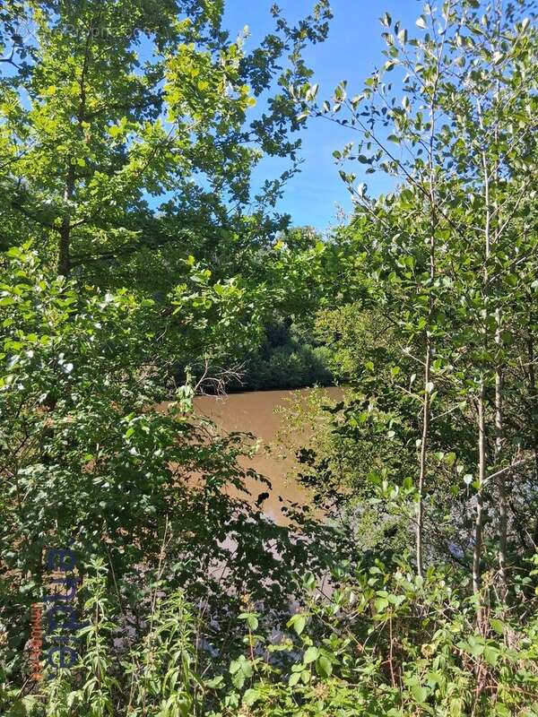 Terrain avec etang - photo 13