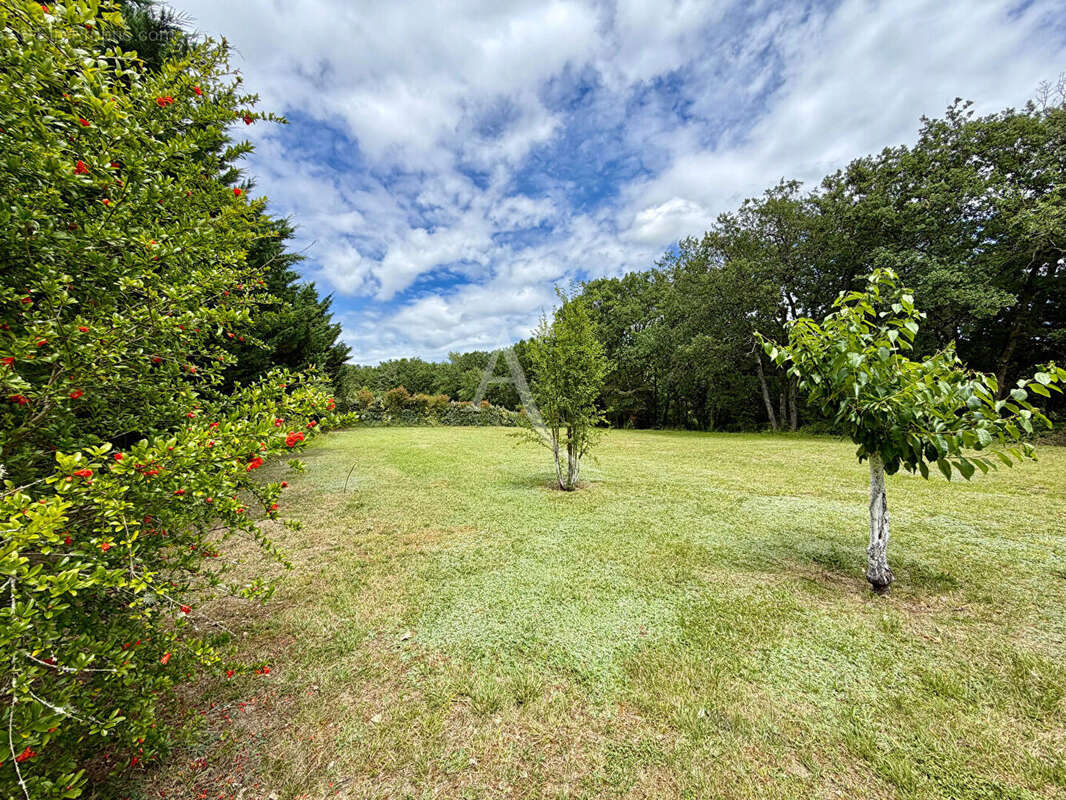 Terrain à vendre à Bessières ? Un cadre exceptionnel ! - photo 2