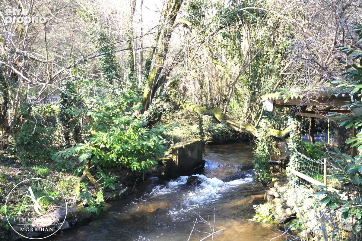 Maison avec dépendances et 10 000 m2 de terrain agricole. - photo 5