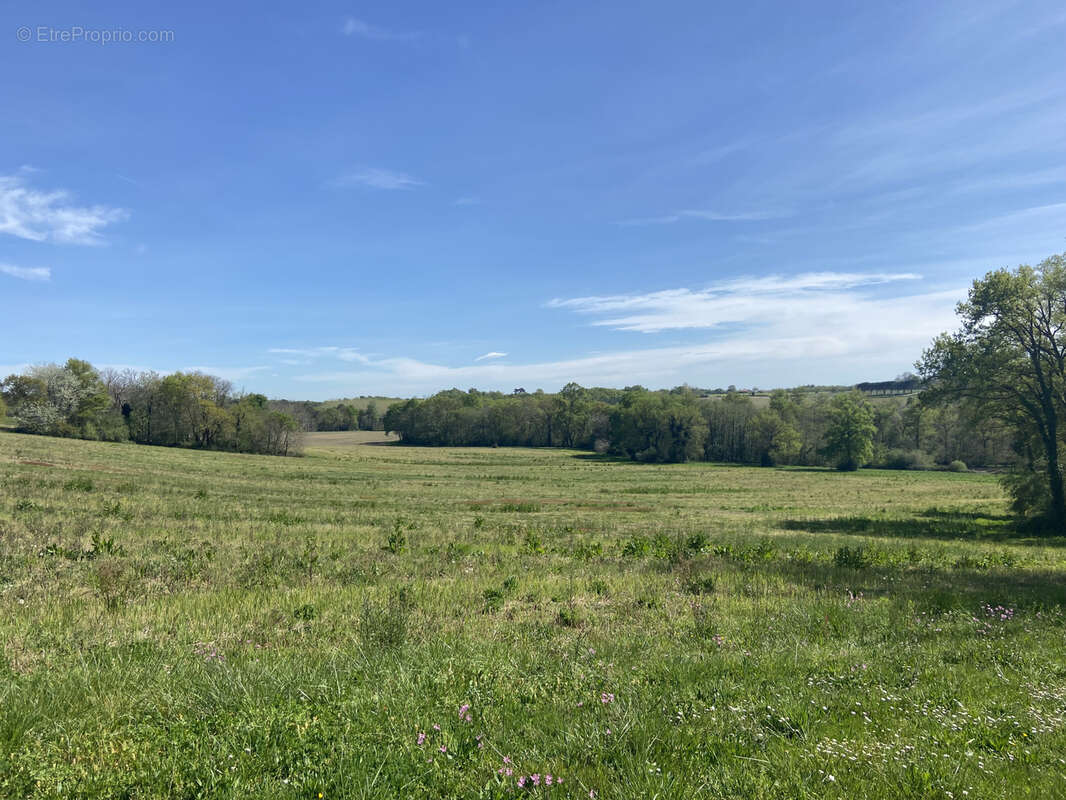 Landes   Propriété idéale pour pêche et chasse - photo 21