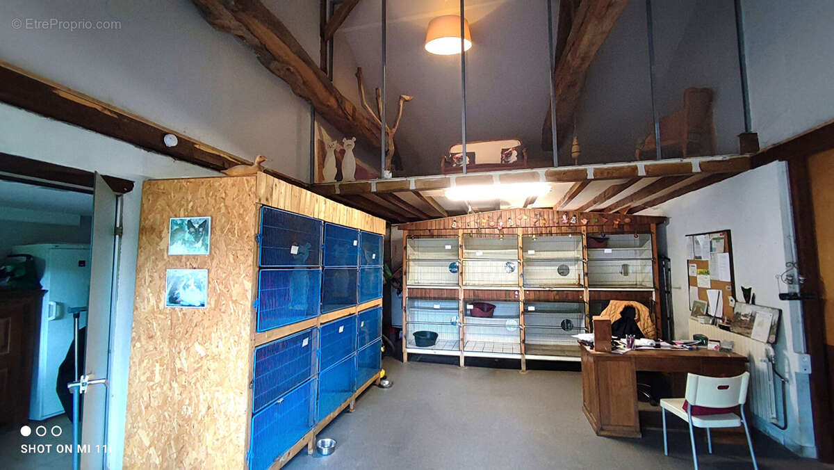 Maison à SAINT-DIDIER-SUR-CHALARONNE