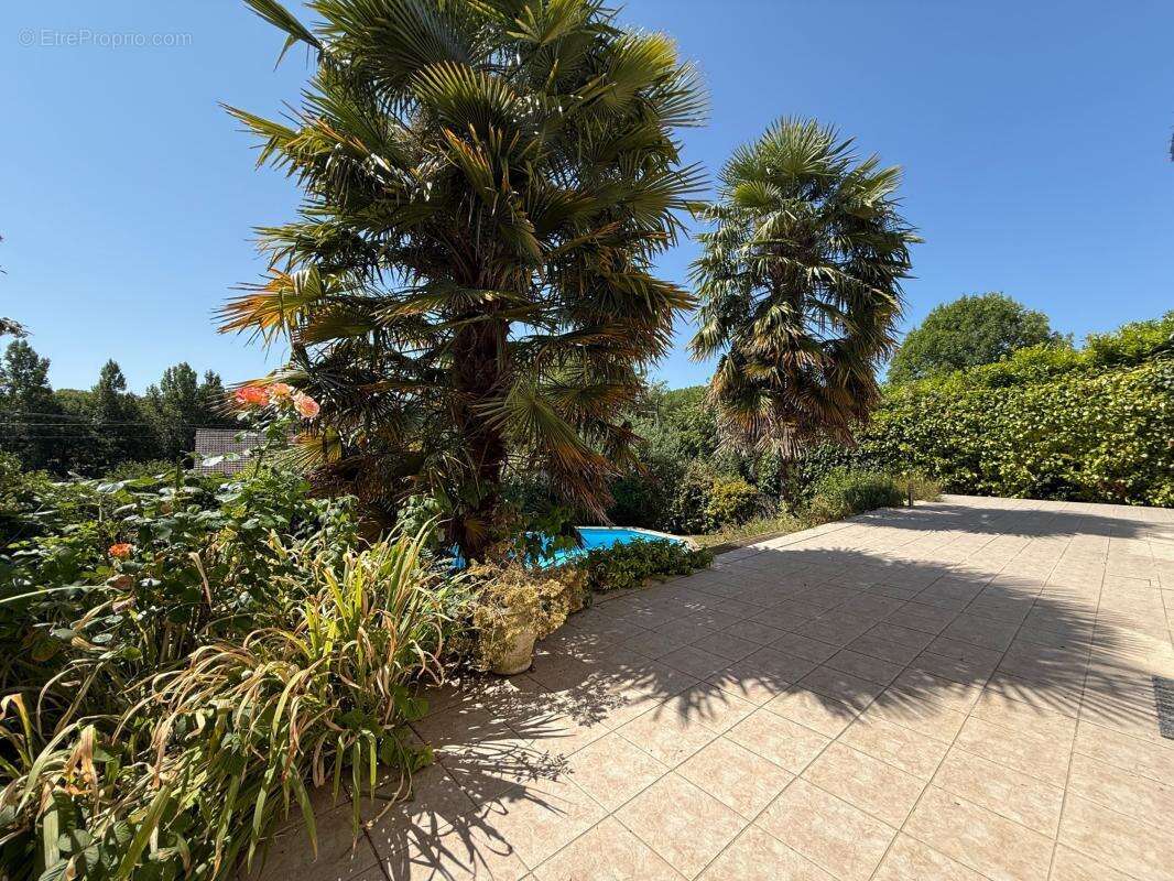 Maison 213 m² à Saint-Epain  - photo 22