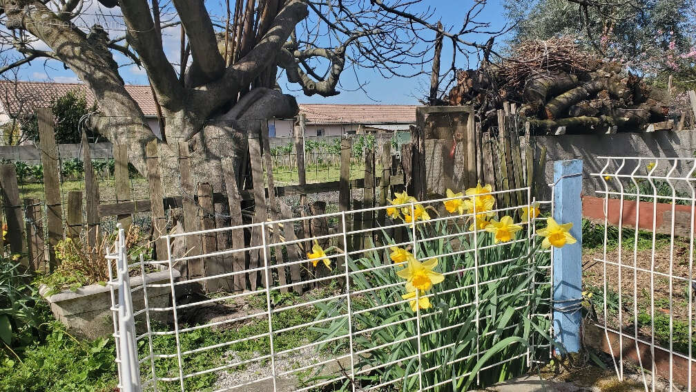 Maison à BEAUSEMBLANT