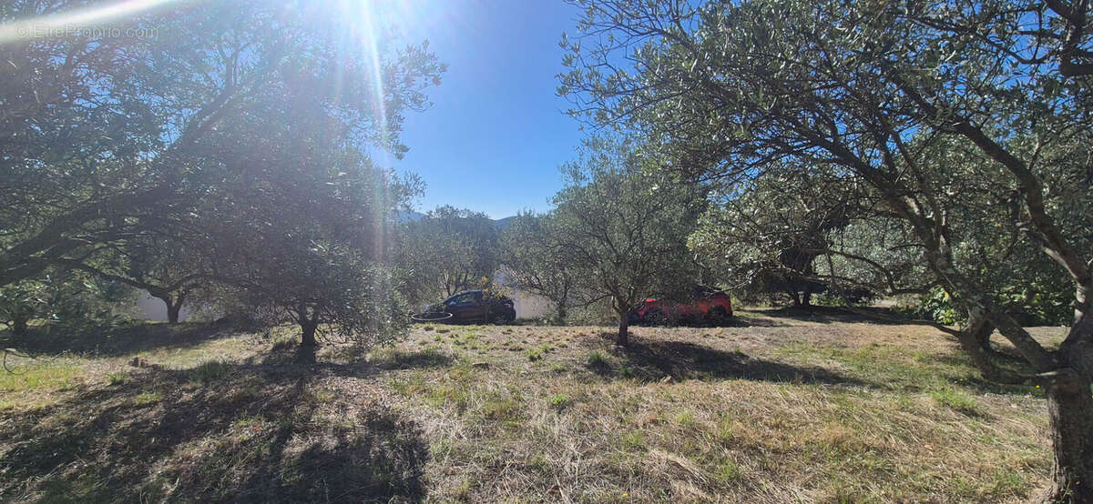 Terrain à MONTAUROUX