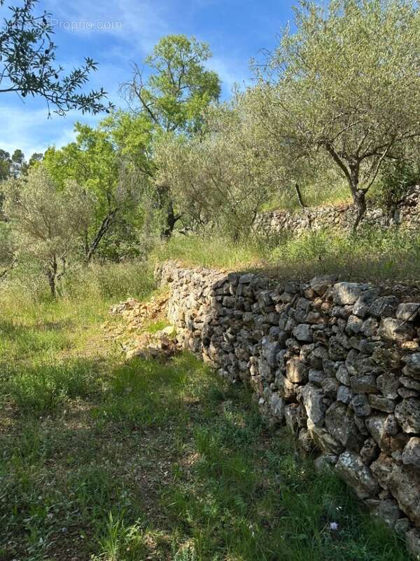 Terrain à CARNOULES