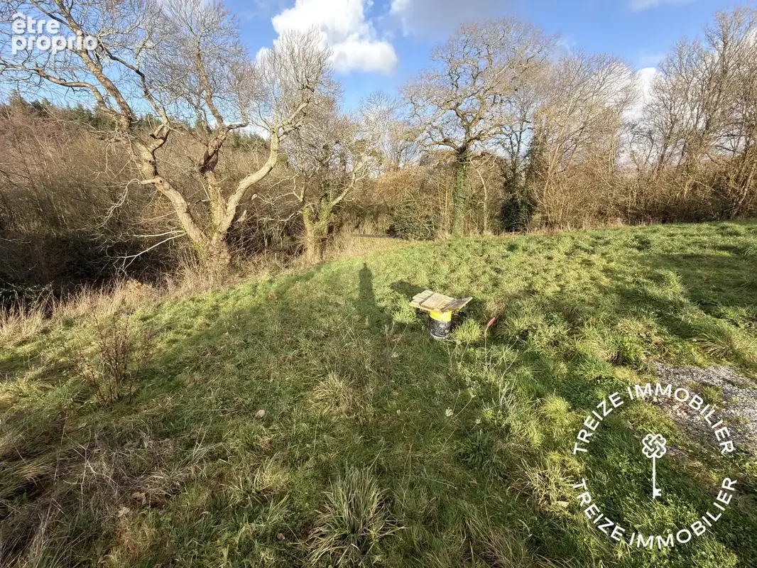 Terrain 641 m² à vendre à Savenay (44260) - photo 2