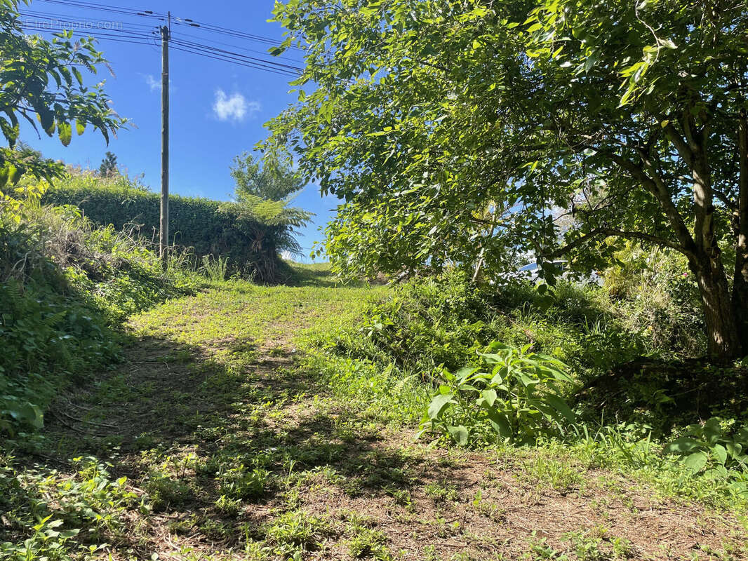 Photo 3 - Terrain à LE TAMPON