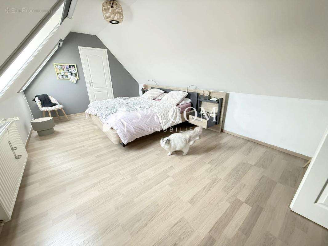 Maison à THUMERIES