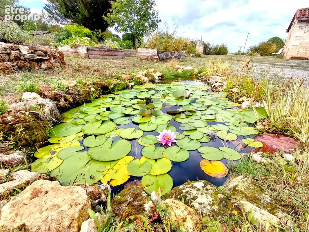 Périgourdine avec Gîte au calme de 4,5 hectares dans le Périgord Vert - photo 37