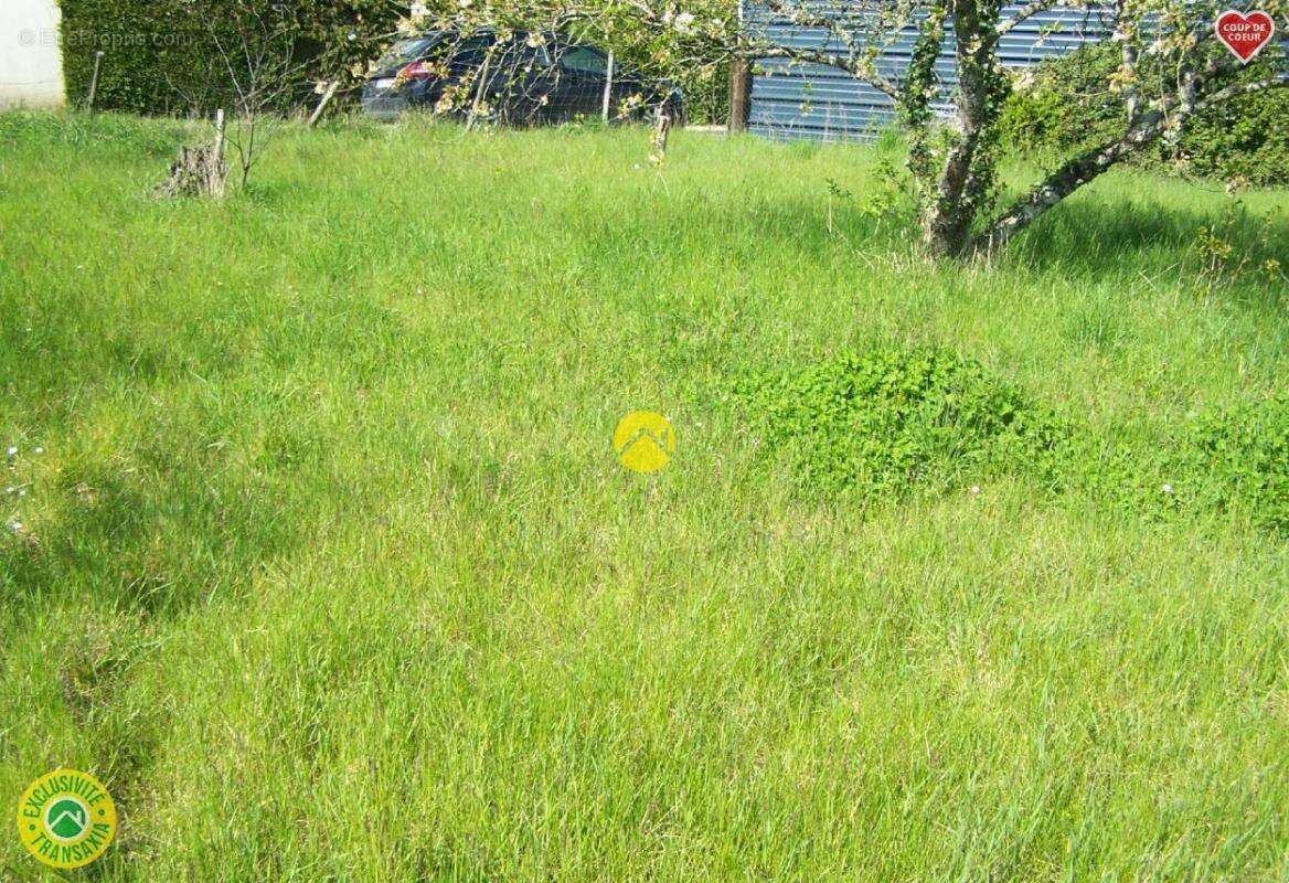 Terrain à SAINT-FLORENT-SUR-CHER